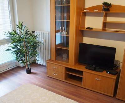 Mieten 2-Zimmer-Wohnung, 2-Zimmer-Wohnung, Páričkova, Bratislava - Ruž