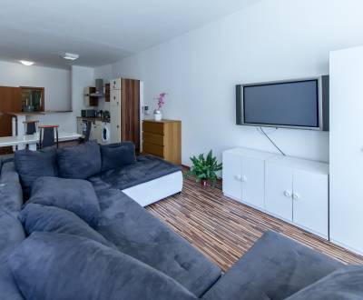 Mieten 1-Zimmer-Wohnung, 1-Zimmer-Wohnung, Mickiewiczova, Bratislava -