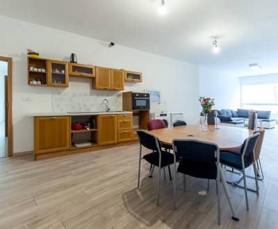 Mieten 5+ Zimmer-Wohnung, 5+ Zimmer-Wohnung, Mickiewiczova, Bratislava