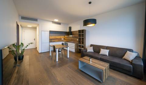 Mieten 2-Zimmer-Wohnung, 2-Zimmer-Wohnung, Továrenská, Bratislava - St