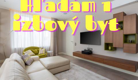 Suche 1-Zimmer-Wohnung, 1-Zimmer-Wohnung, Banská Bystrica, Slowakei