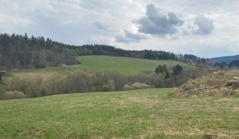 Kaufen Baugrundstück Erholung, Baugrundstück Erholung, Dolný Kubín, Sl