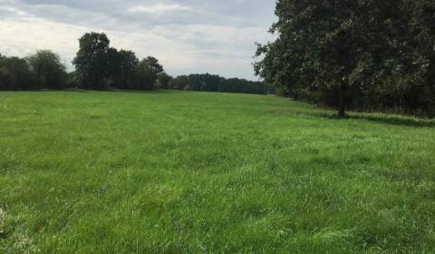 Kaufen landwirtsch. Grundstücke, landwirtsch. Grundstücke, Krupina, Sl