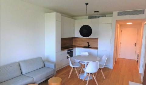 Mieten 2-Zimmer-Wohnung, 2-Zimmer-Wohnung, Továrenská, Bratislava - St