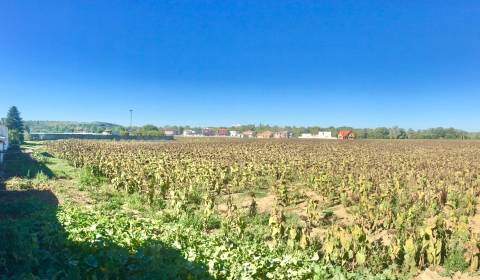 Baugrund, zu verkaufen, Piešťany, Slowakei