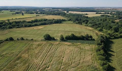 Kaufen landwirtsch. Grundstücke, landwirtsch. Grundstücke, Turzovka, Č