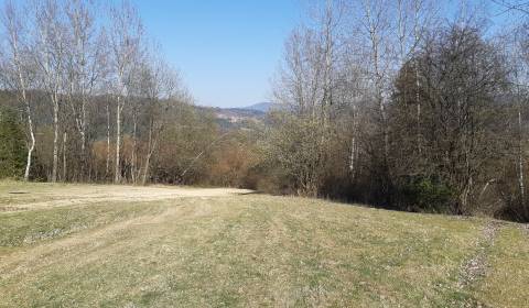 Landwirtsch. Grundstücke, Horelica, zu verkaufen, Čadca, Slowakei