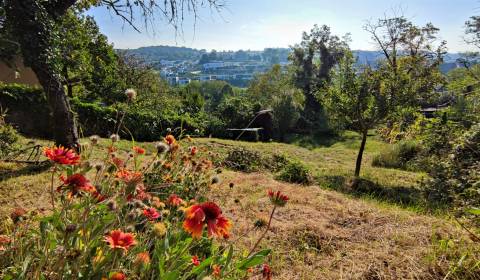 Kaufen Garten, Garten, Spätná cesta, Bratislava - Devín, Slowakei