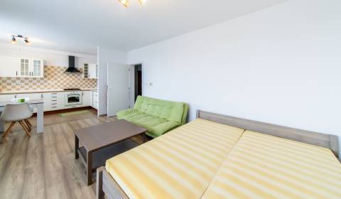 Mieten 1-Zimmer-Wohnung, 1-Zimmer-Wohnung, Riazanská, Bratislava - Nov