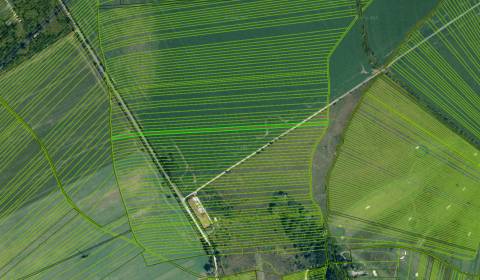 Kaufen landwirtsch. Grundstücke, landwirtsch. Grundstücke, Malacky, Sl