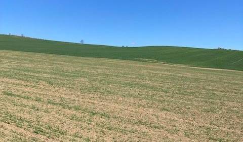 Kaufen landwirtsch. Grundstücke, landwirtsch. Grundstücke, Ilava, Slow