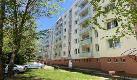 Suche 4-Zimmer-Wohnung, 4-Zimmer-Wohnung, SNP, Považská Bystrica, Slow