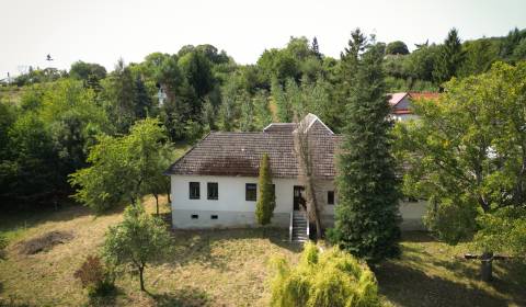 Kaufen Ferienhaus, Ferienhaus, Hrubá Strana, Nové Mesto nad Váhom, Slo