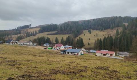 Kaufen Baugrundstück Erholung, Baugrundstück Erholung, Snežnica, Kysuc