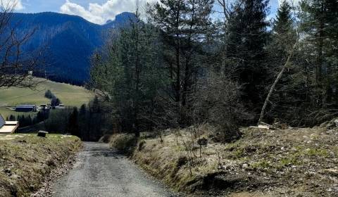 Kaufen Baugrundstück Erholung, Baugrundstück Erholung, Terchová, Žilin