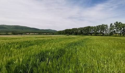 Kaufen Baugrund, Baugrund, Stankovská, Vranov nad Topľou, Slowakei