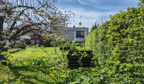 Kaufen Einfamilienhaus, Einfamilienhaus, Bernolákovo - Poľovnícka, Sen