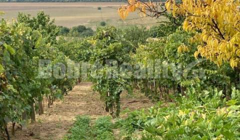 Kaufen Garten, Garten, Cigánka, Levice, Slowakei