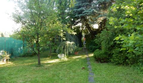 Kaufen Garten, Garten, Košice-okolie, Slowakei