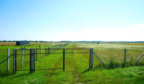 Kaufen Garten, Garten, Bratislava - Čunovo, Slowakei