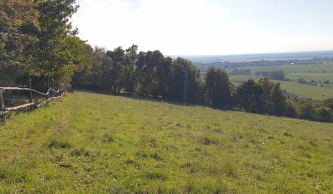 Kaufen landwirtsch. Grundstücke, landwirtsch. Grundstücke, Malacky, Sl