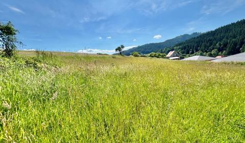 Kaufen Baugrund, Baugrund, Korňanská cesta, Čadca, Slowakei