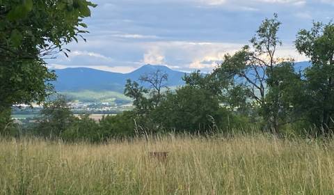 Kaufen Baugrundstück Erholung, Baugrundstück Erholung, Ilava, Slowakei