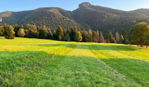 Kaufen landwirtsch. Grundstücke, landwirtsch. Grundstücke, Žilina, Slo