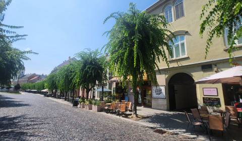 Kaufen 3-Zimmer-Wohnung, 3-Zimmer-Wohnung, Mierové námestie, Trenčín, 