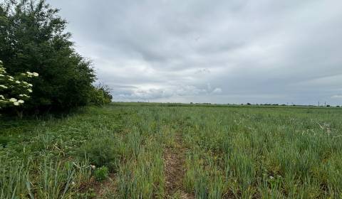 Kaufen landwirtsch. Grundstücke, landwirtsch. Grundstücke, Pezinok, Sl