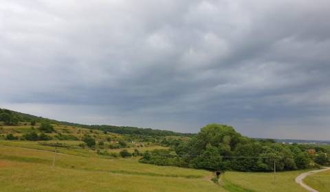 Kaufen landwirtsch. Grundstücke, landwirtsch. Grundstücke, Trnava, Slo