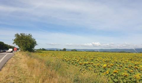 Kaufen landwirtsch. Grundstücke, landwirtsch. Grundstücke, Senecká ces