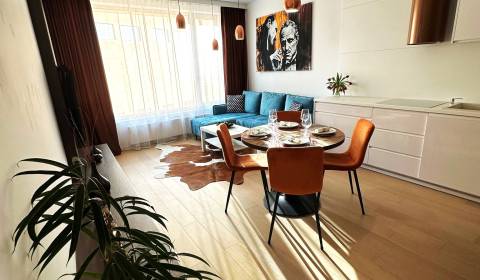 Mieten 2-Zimmer-Wohnung, 2-Zimmer-Wohnung, Čulenova, Bratislava - Star