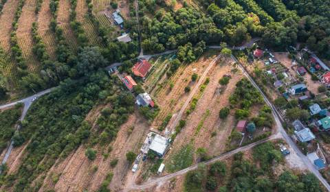 Kaufen Weinberg, Weinberg, Horné Židiny, Bratislava - Nové Mesto, Slow