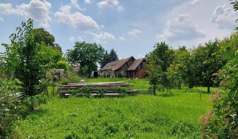 Kaufen Einfamilienhaus, Einfamilienhaus, Dunajská Streda, Slowakei