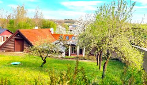 Kaufen Einfamilienhaus, Einfamilienhaus, Neusiedl am See, Österreich