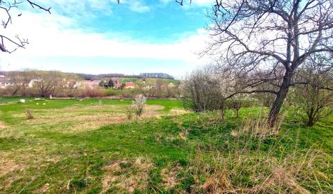 Kaufen Baugrund, Baugrund, Neusiedl am See, Österreich