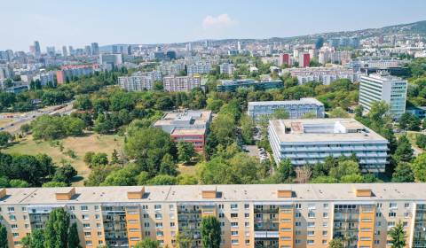 Kaufen 1-Zimmer-Wohnung, 1-Zimmer-Wohnung, Jadrová, Bratislava - Ružin