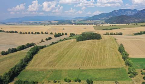 Kaufen landwirtsch. Grundstücke, landwirtsch. Grundstücke, Mošovce, Tu