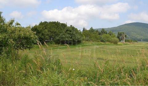 Kaufen landwirtsch. Grundstücke, landwirtsch. Grundstücke, Bardejov, S