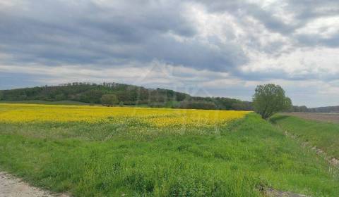 Kaufen Garten, Garten, Veľký Krtíš, Slowakei