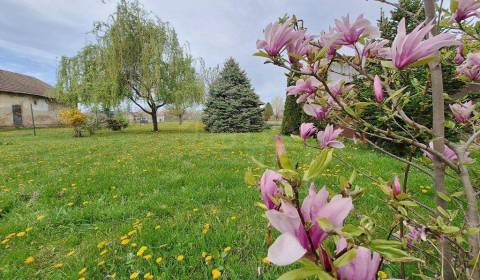 Kaufen Garten, Garten, Nové Zámky, Slowakei