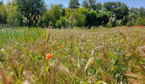 Kaufen landwirtsch. Grundstücke, landwirtsch. Grundstücke, Komárno, Sl