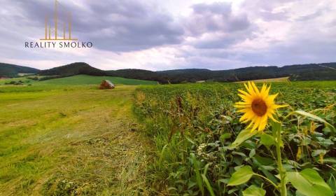 Kaufen landwirtsch. Grundstücke, landwirtsch. Grundstücke, Sabinov, Sl