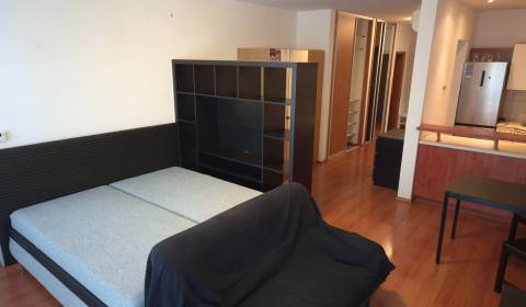 Kaufen 1-Zimmer-Wohnung, 1-Zimmer-Wohnung, Záhradnícka, Bratislava - R