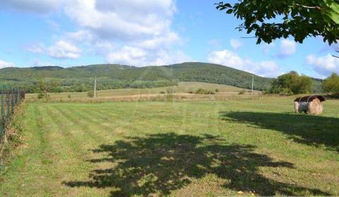 Kaufen landwirtsch. Grundstücke, landwirtsch. Grundstücke, Bardejov, S