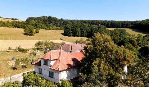 Kaufen Einfamilienhaus, Einfamilienhaus, Chvojnica, Myjava, Slowakei