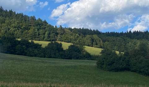 Kaufen Baugrundstück Erholung, Baugrundstück Erholung, Mestečko, Púcho