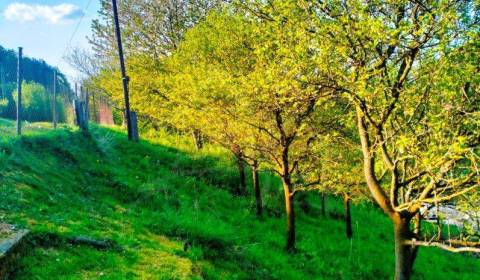 Kaufen Garten, Garten, Trenčín, Slowakei