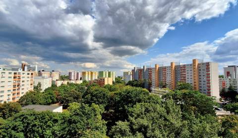 Mieten 2-Zimmer-Wohnung, 2-Zimmer-Wohnung, Gessayova, Bratislava - Pet